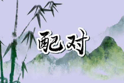 日支定夫妻宫：合与冲