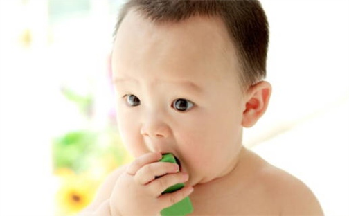 缺什么就补什么吗